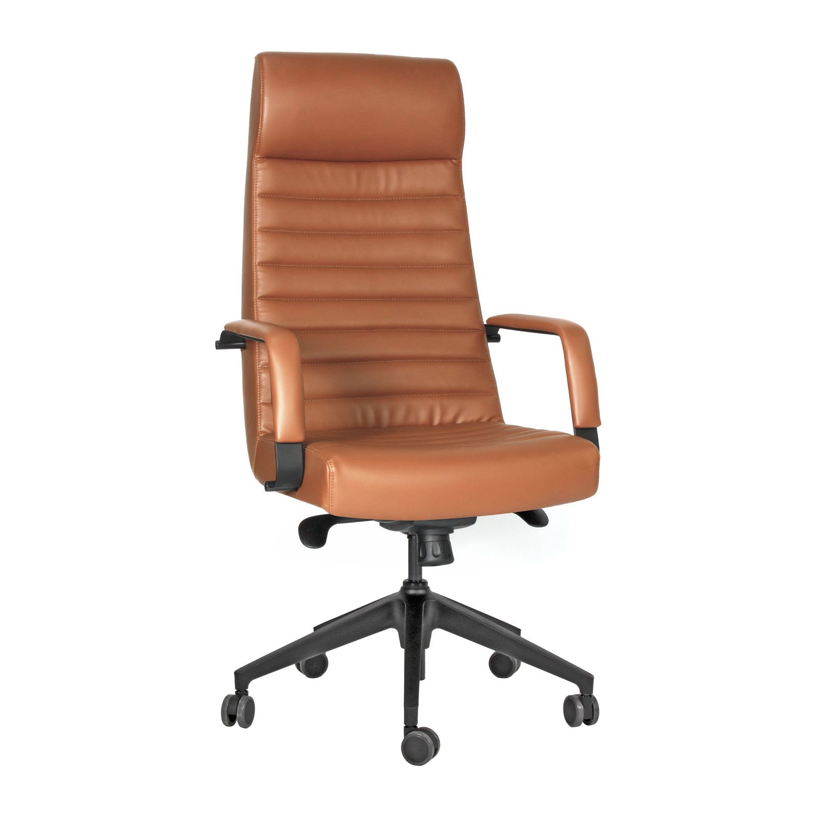 Rosetta Boyalı Kollu  Plastik Ayaklı Yönetici Koltukları