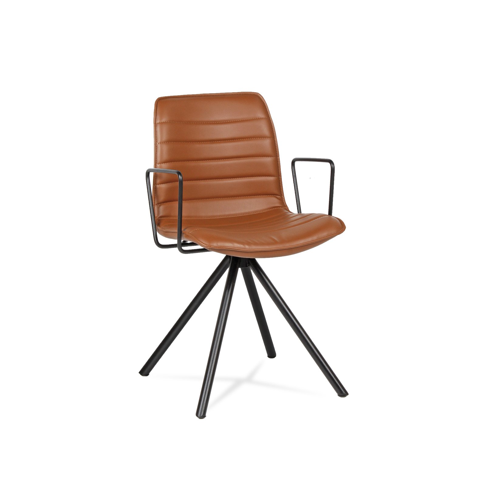 Dalmi Boyalı Kollu Proje Koltukları